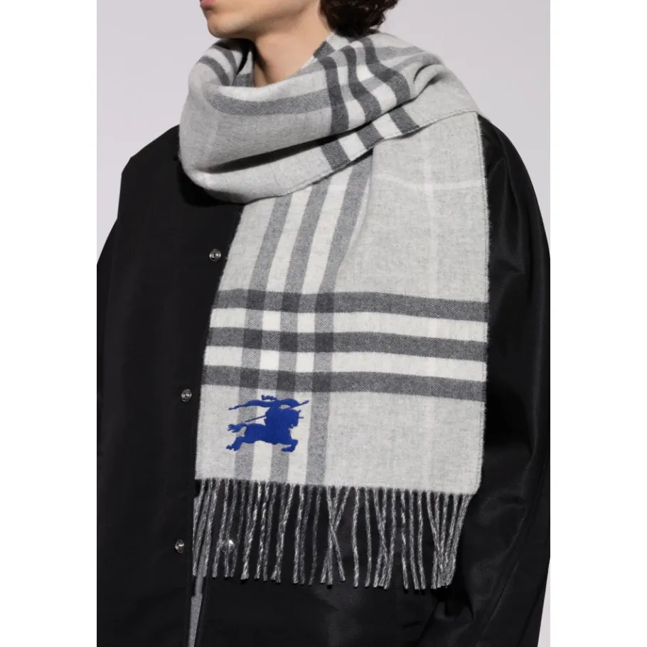 Burberry Accessories-Heren Sjaals