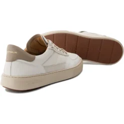Ambitious ANOPOLIS Panel Sneaker-Heren Sneakers