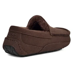 UGG Ascot Pantoffels Dusted Cocoa-Heren Pantoffels