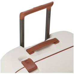 Delsey Cabin Bags-Heren Tassen