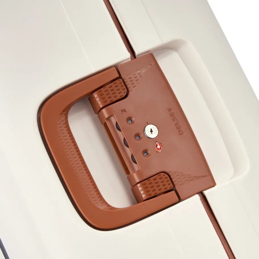 Delsey Cabin Bags-Heren Tassen