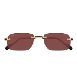 Cartier CT0498S 002 Sunglasses-Heren Zonnebrillen