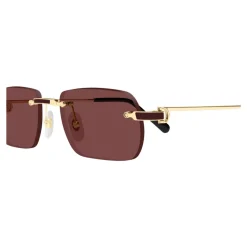 Cartier CT0498S 002 Sunglasses-Heren Zonnebrillen