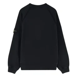 Stone Island LOGO SWEATSHIRT-Heren Truien & Vesten