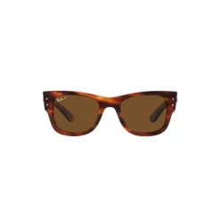 Ray-Ban Mega Wayfarer-Heren Zonnebrillen