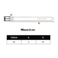 Bottega Veneta Omkeerbare Leren Riem Blauw/-Heren Riemen