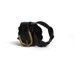 Isabel Marant Zigza Riem-Heren Riemen