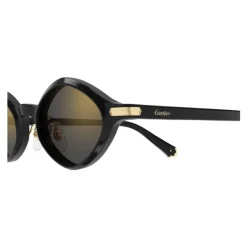 Cartier Zonnebril-Heren Zonnebrillen