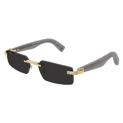 Cartier Zonnebril-Heren Zonnebrillen