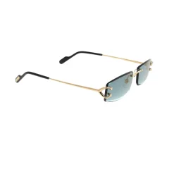 Cartier Zonnebrillen-Heren Zonnebrillen