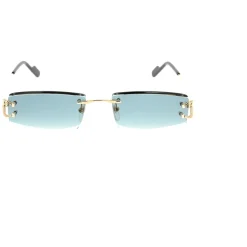 Cartier Zonnebrillen-Heren Zonnebrillen